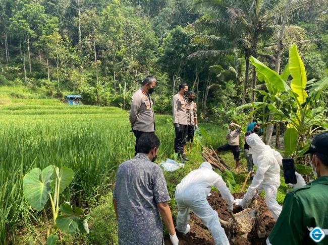 Puluhan Bangkai Kambing Gegerkan Warga, Kapolres Semarang Langsung Datangi Lokasi 