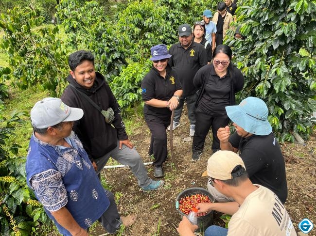 Jaga Kualitas dan Reputasi, Pengelolaan Kopi Arabika Sembalun Terus Diawasi