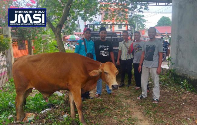 Pemotongan Hewan Kurban, JMSI Inhu Sembelih 1 Sapi 2 Kambing
