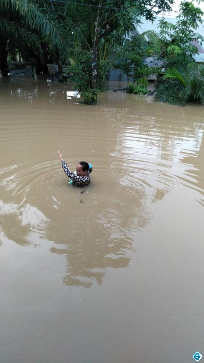 Banjir Rendam Beberapa Desa di Kecamatan Satui, 110 Jiwa Diungsikan, Ini Kata Camat Satui