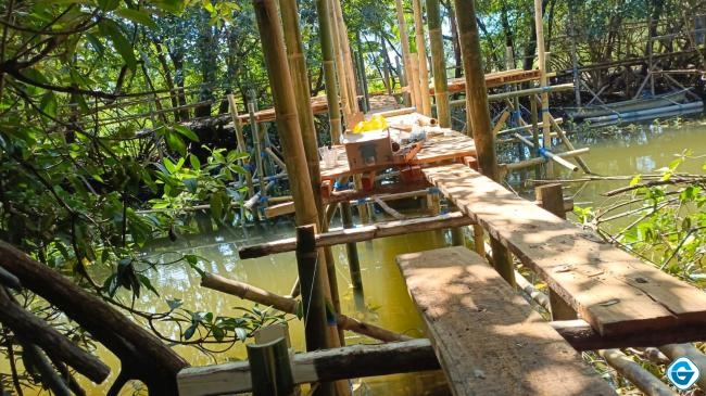 PLN UIP Nusra Renovasi Jalur Trekking Ekowisata Mangrove Desa Padak Guar, Dorong Potensi Wisata di Sekitar Pembangkit
