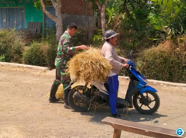 TNI Membangun Jalan, Mencari Pakan Ternak Akan Lancar