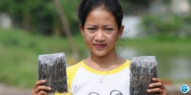 Bermodal Cicak Kering, Wanita ini Raup Keuntungan Hingga Rp 25 Juta