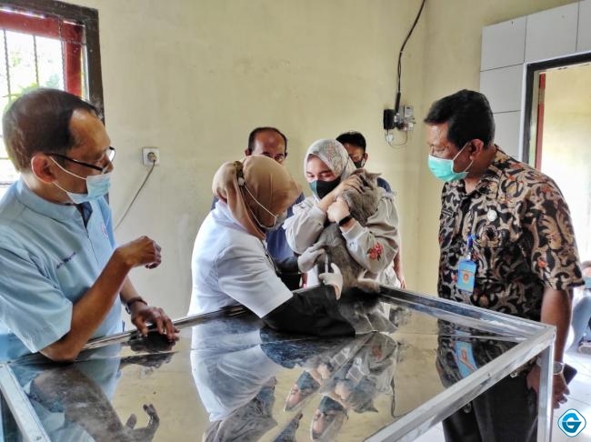 UPT Puskeswan Wilayah Utara Gelar Vaksinasi Rabies Gratis Terhadap Hewan Peliharaan