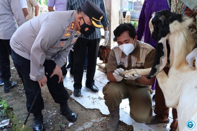 Kapolres Demak Bersama Dinas Peternakan, Kembali Cek Peternakan Dan Pasar Hewan Guna Cegah Virus PMK