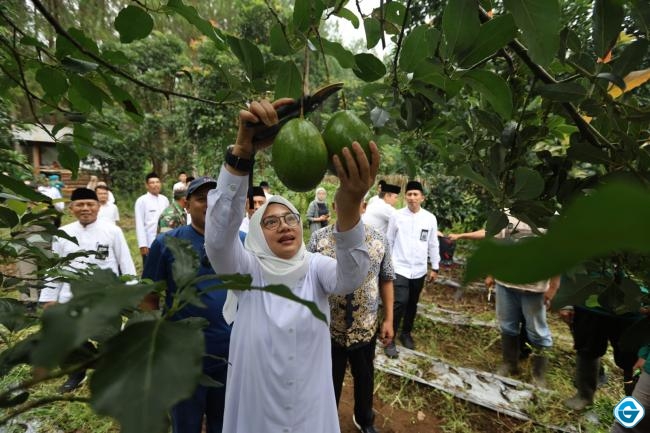 Ngantor di Desa Bumiharjo, Bupati Ipuk Gali Berbagai Potensi Pertanian