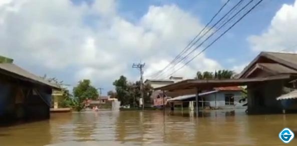 Dampak Banjir, Puluhan Hektar Lahan Pertanian di Tiga Kabupaten di Kalsel Rusak!