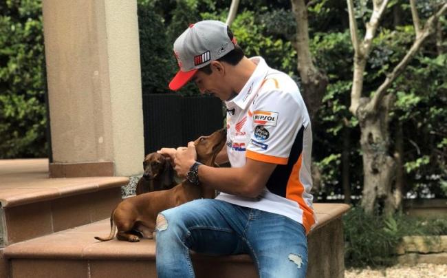 Sirkuit Portimao Jadi Penutup Seri MotoGP, Ini kata Marc Marquez