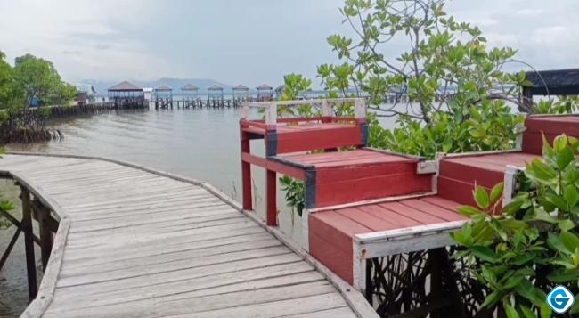 Tumpangi Perahu Klotok, Ini  Wisata Hutan Mangrove Yang  Manjakan Wisatawan