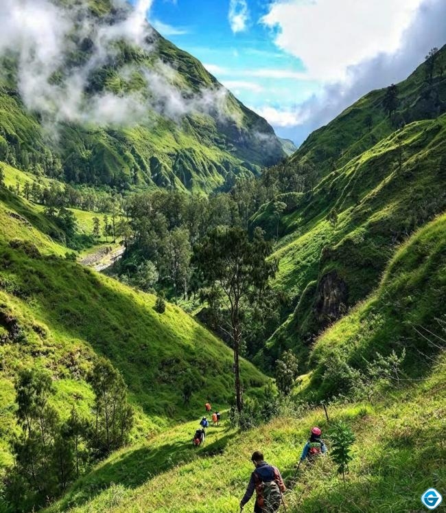 tawarkan-sensasi-berpetualang-jalur-torean-jadi-primadona-para-pendaki-gunung-rinjani-